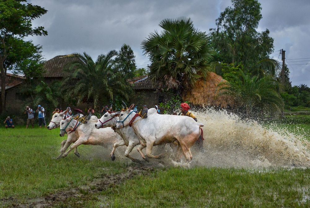Photograph by Bijoy Paul
