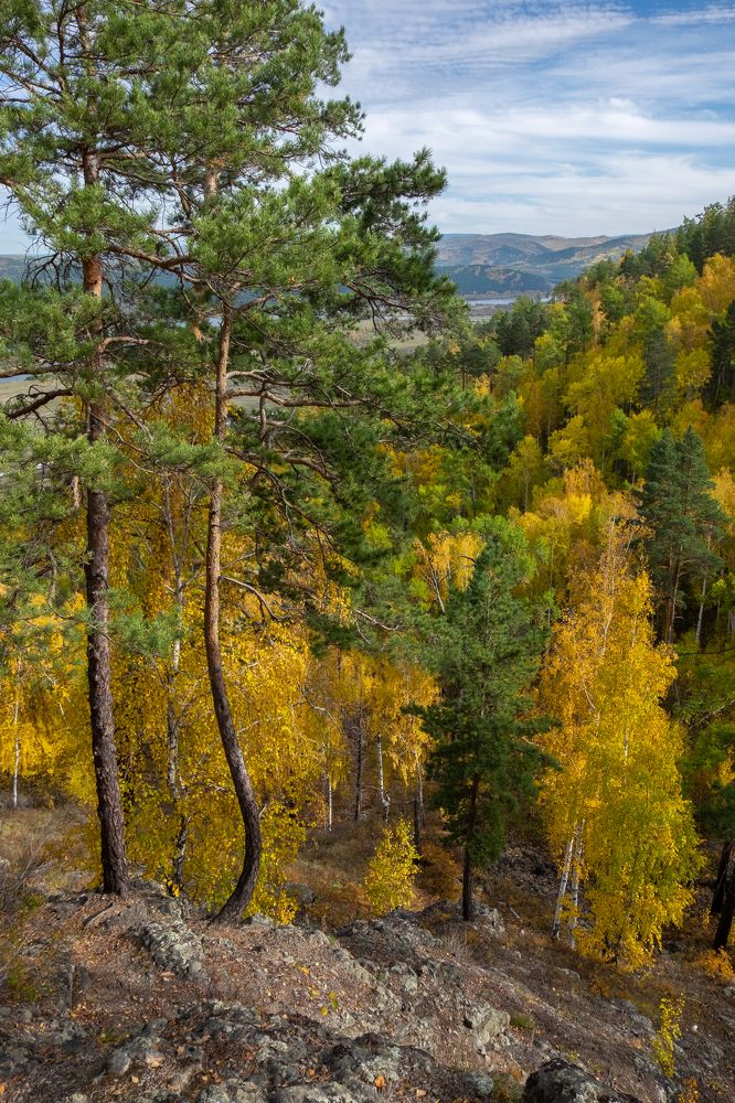 Фотография автора Андрей Ильков