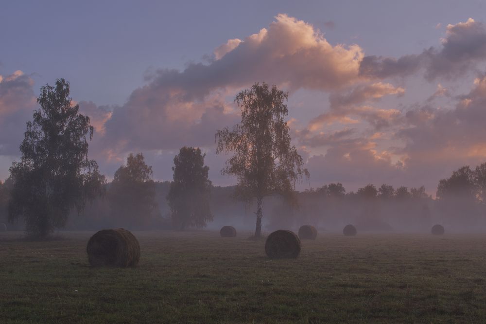 Photograph by Таипов Ильгиз