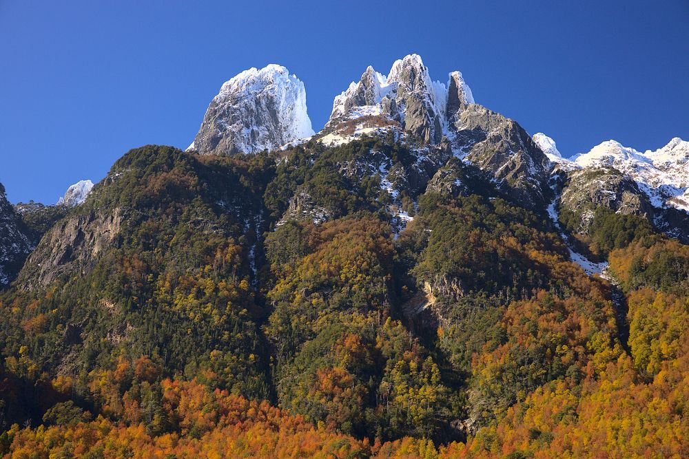Cerro las Peinetas