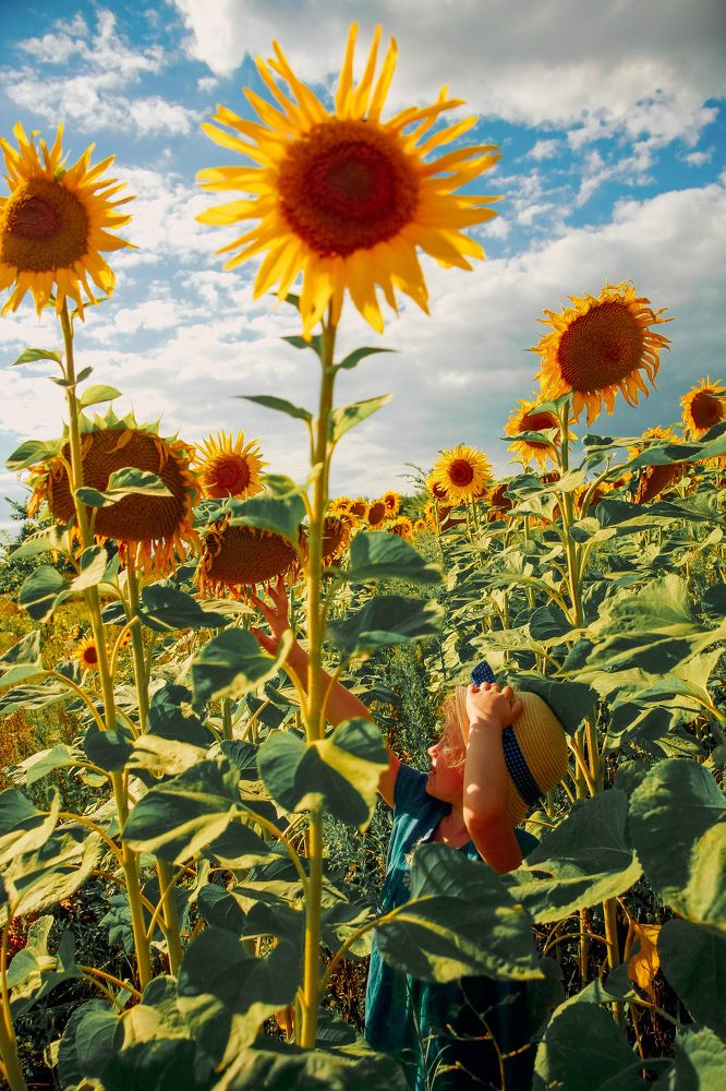 Photograph by Елена Лоцманова