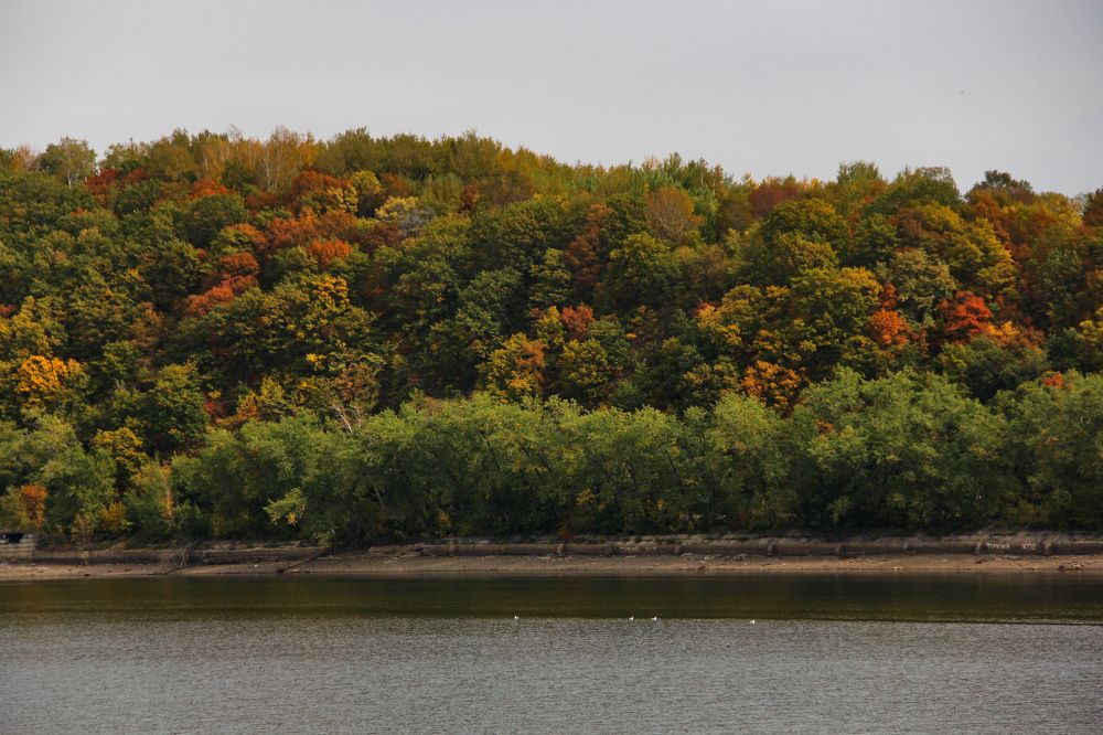 Фотография автора Наталия Мащенко