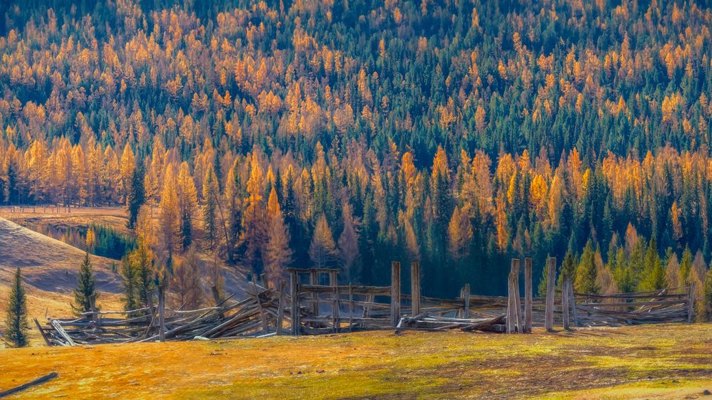 Photograph by Шварцман Евгений