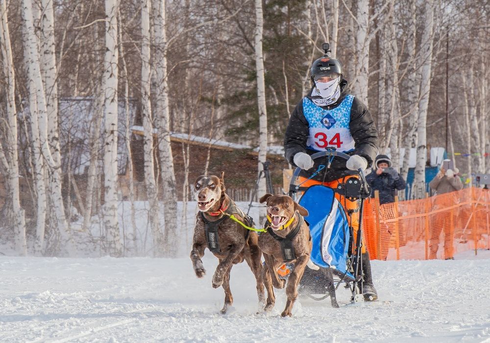 Photograph by Елена Павлова