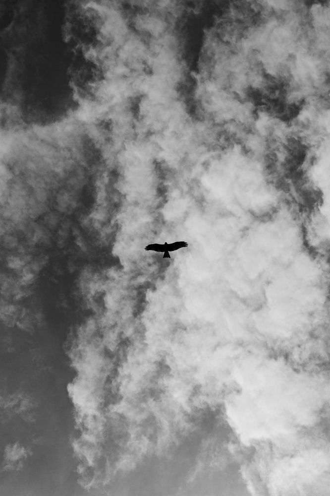 Photograph by Александр Коковихин