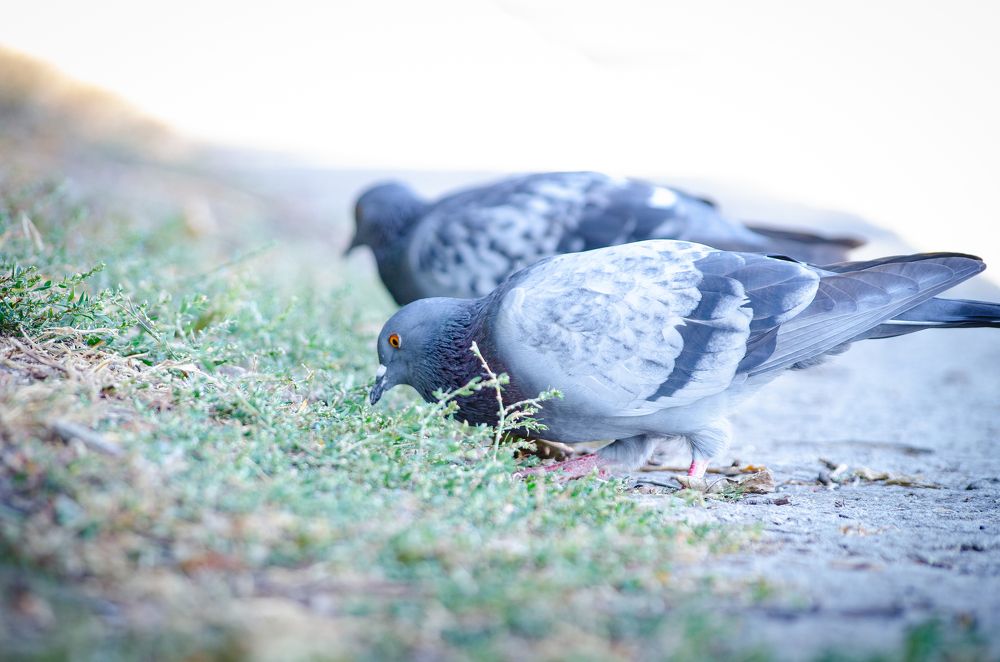 Photograph by Mishel Photographer