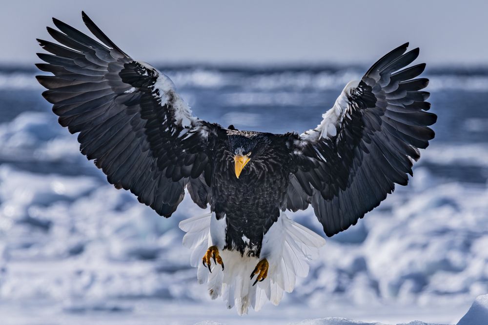 Photograph by Kurashima Daisuke