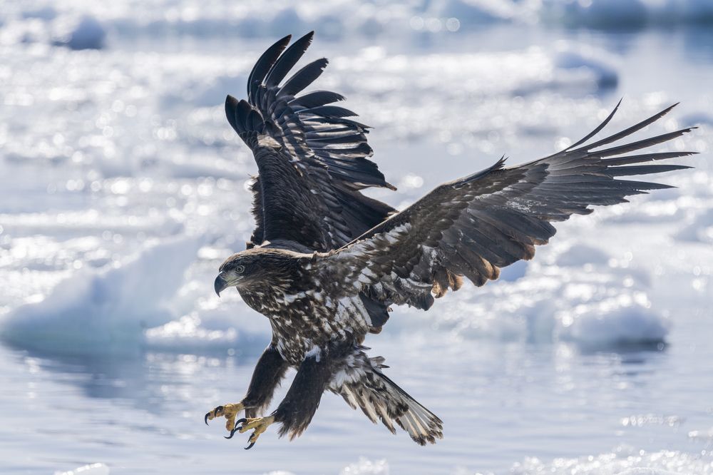 Photograph by Kurashima Daisuke