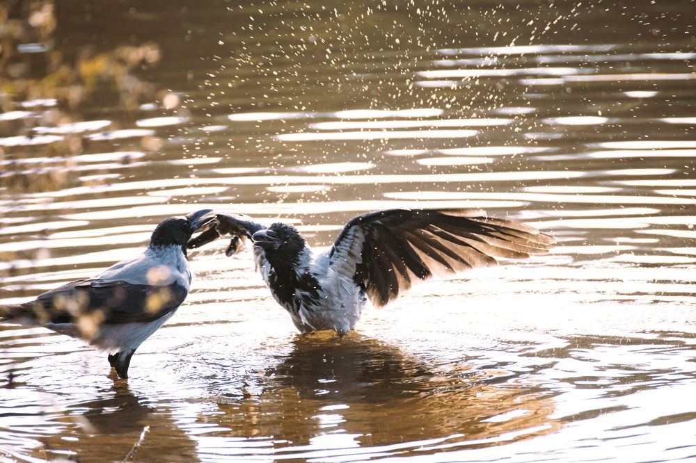 Photograph by Даников Анастасия