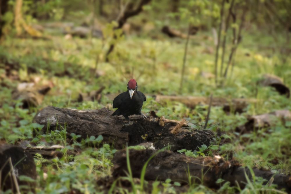 Photograph by Даников Анастасия