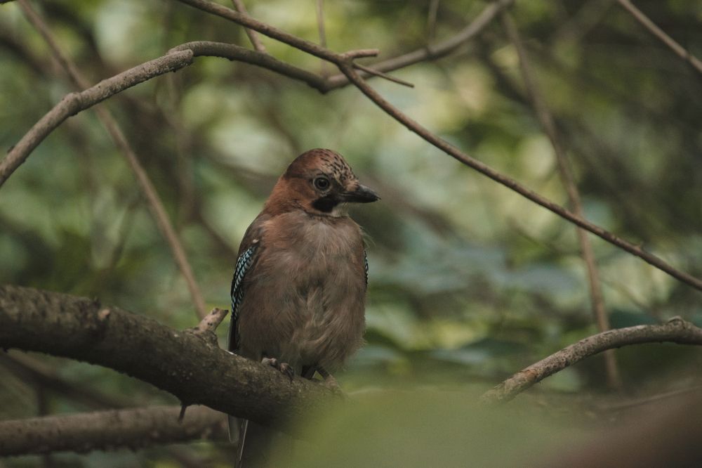 Photograph by Даников Анастасия
