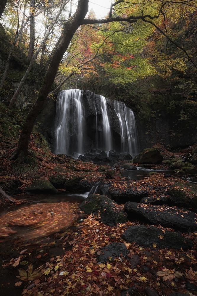 Photograph by Kaneko Atsushi