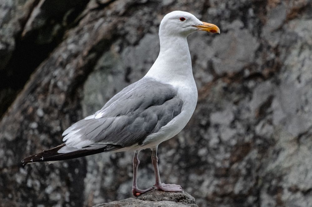 Photograph by Никита Борзов