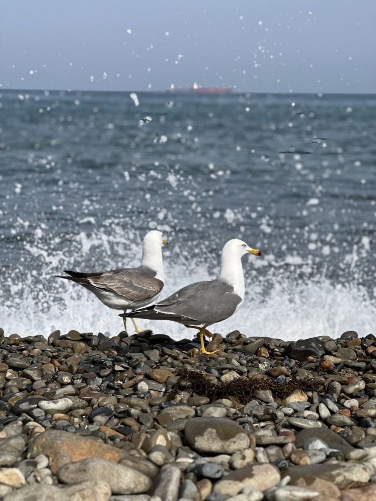 Photograph by Елена Власова