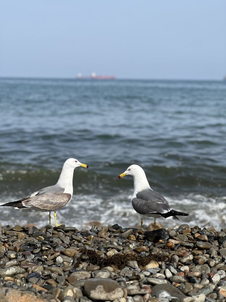 Photograph by Елена Власова