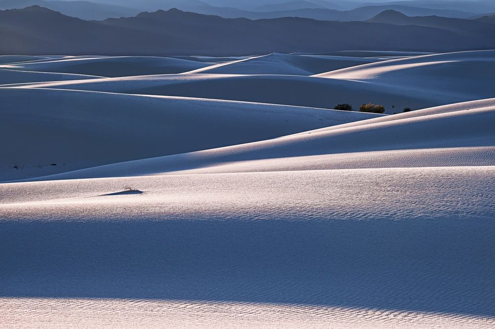 Песчаные дюны в свете заходящего солнца