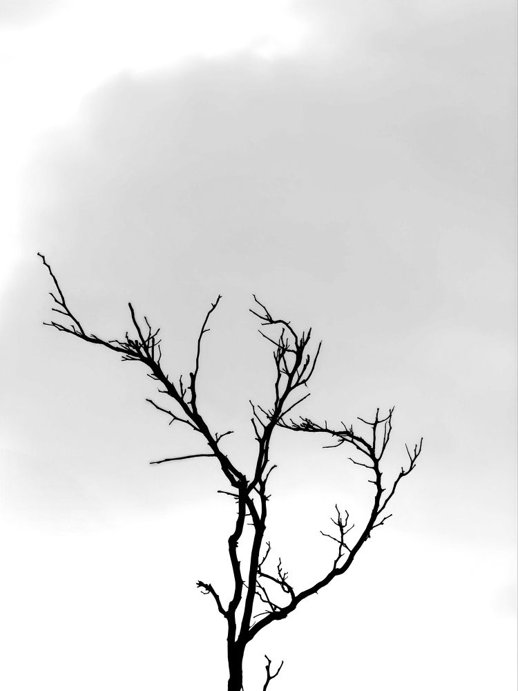 Standing in hope of new beginning