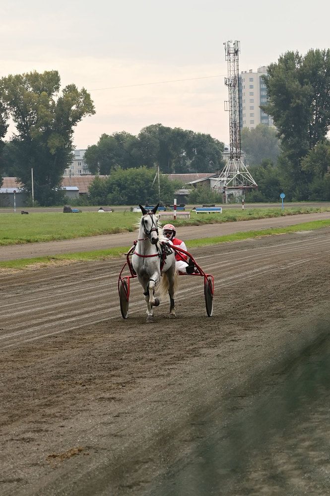 Photograph by Надежда Преминина