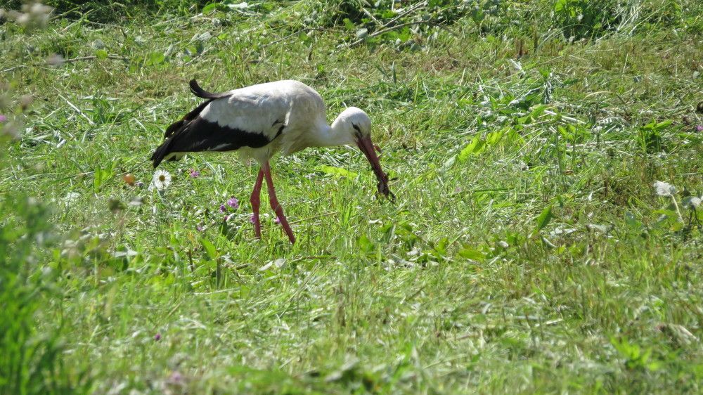 Photograph by Елена Казарина