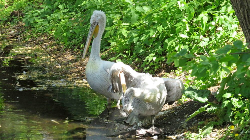 Photograph by Елена Казарина