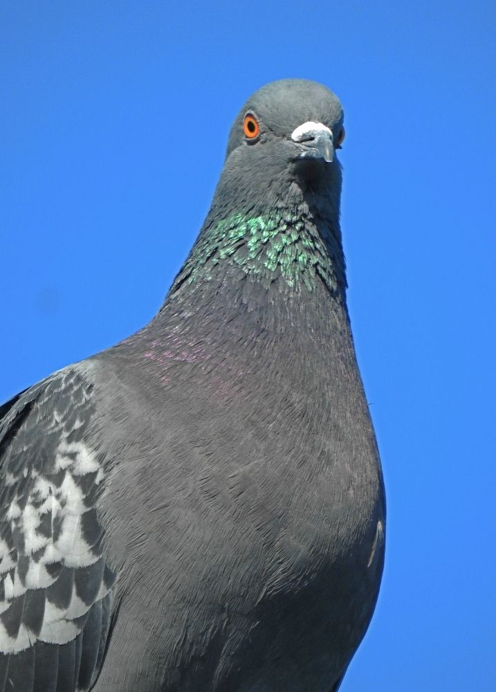 Photograph by Игорь Носков (Домненко)