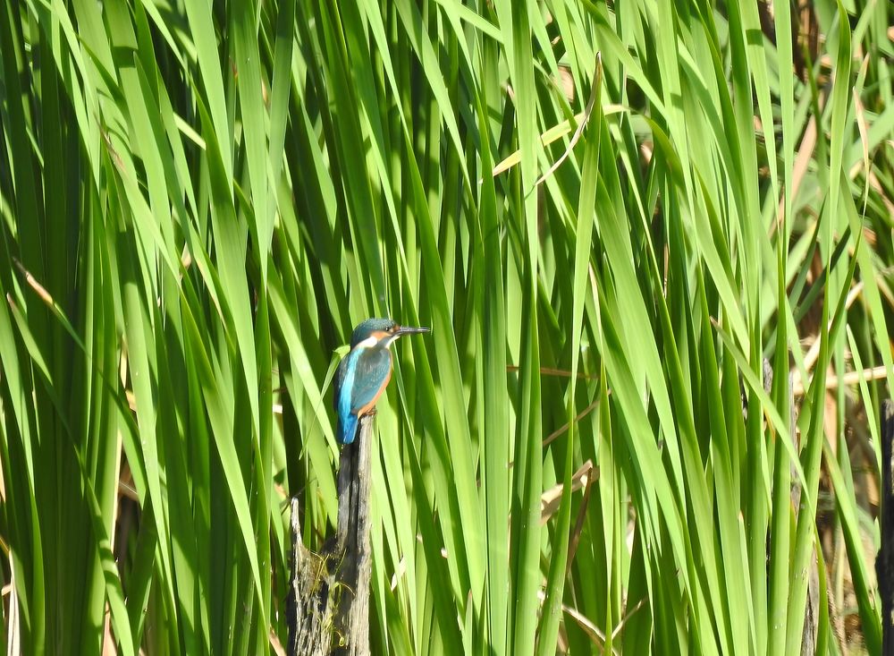 Photograph by Игорь Носков (Домненко)