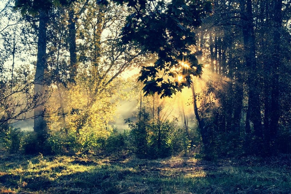 Photograph by Дмитрий Чебанов