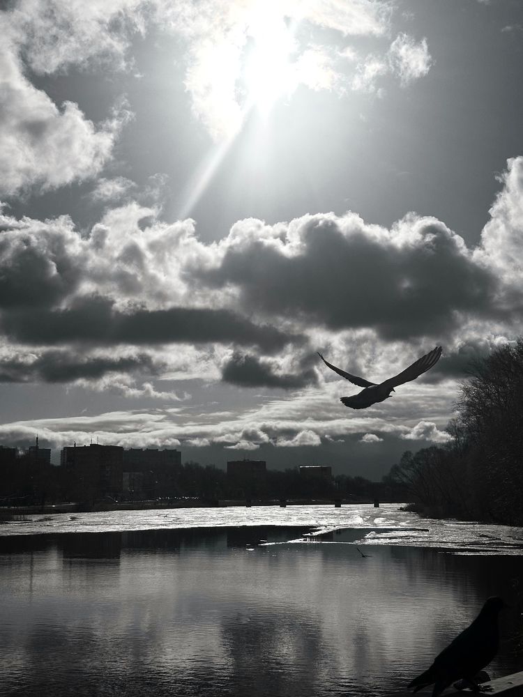 Photograph by Диана Бадеева