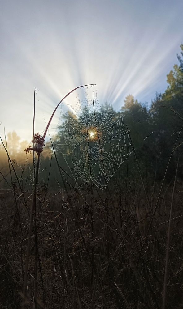 Photograph by Leanid Kulpo