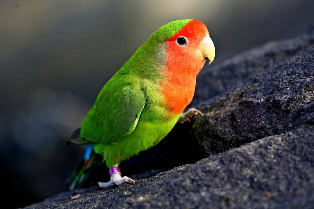 Photograph by Владимир Говоров