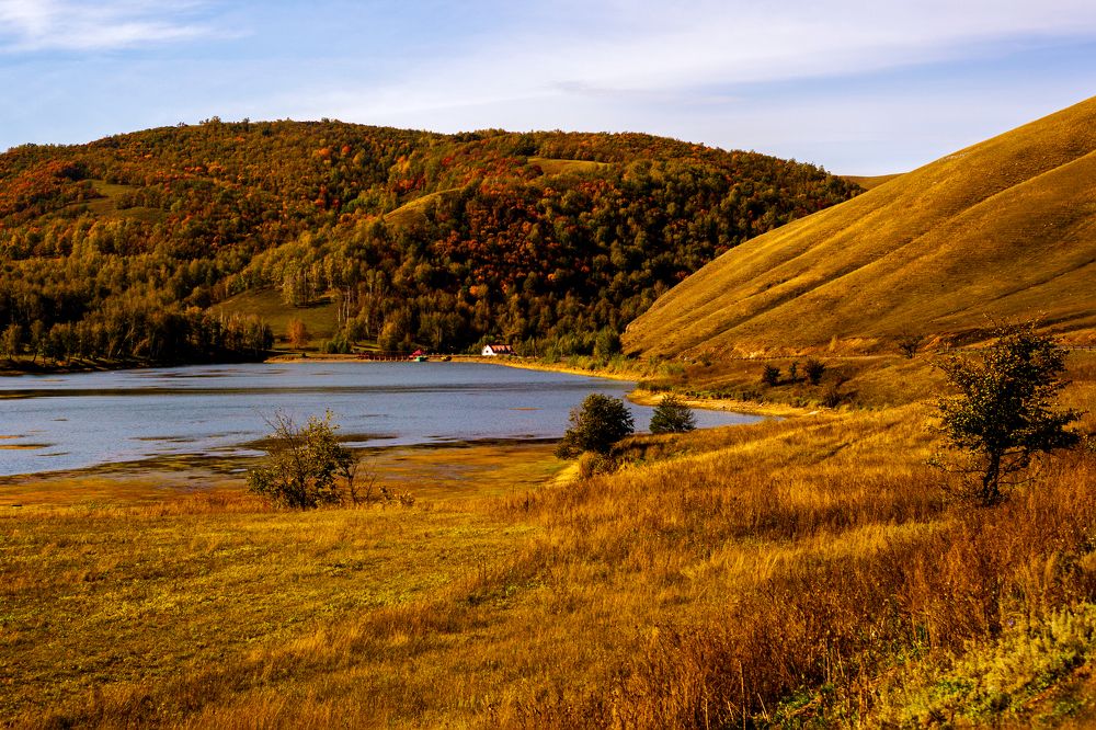 Photograph by Анастасия Сидранская