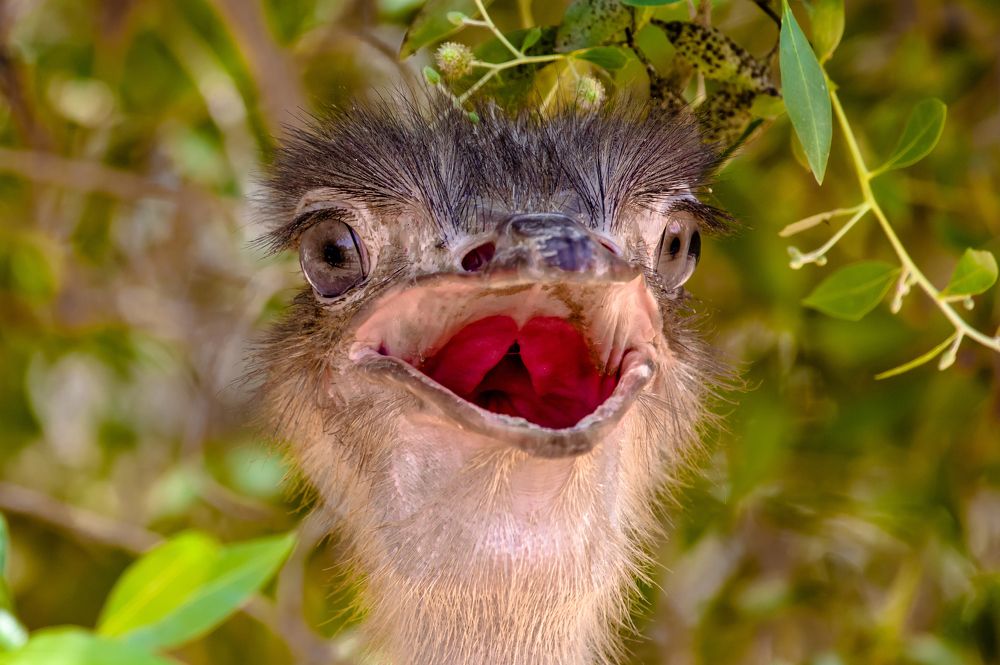 Photograph by Владимир Говоров