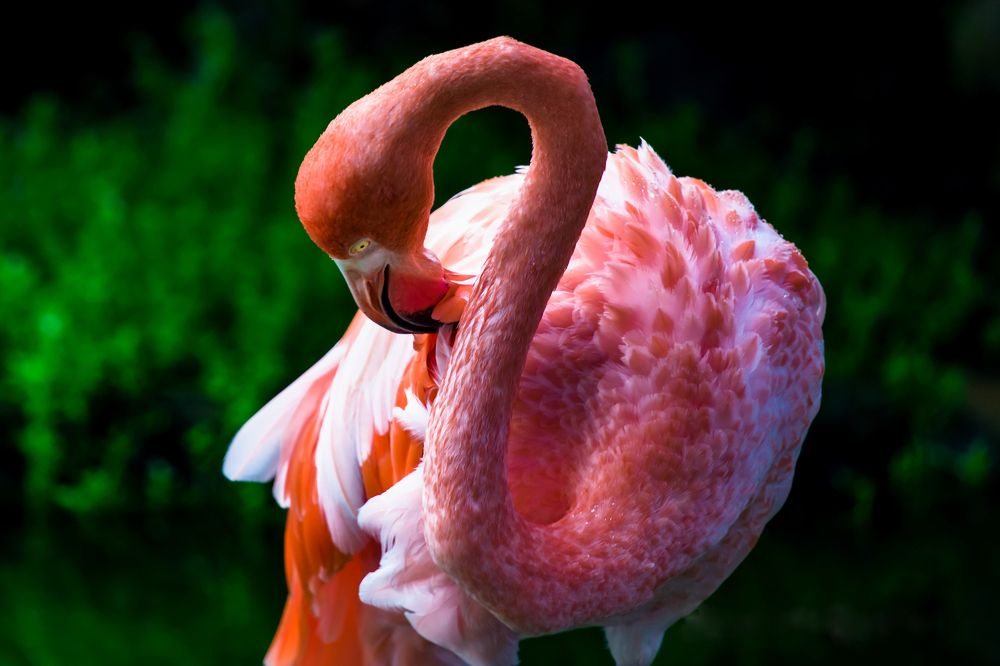 Photograph by Владимир Говоров