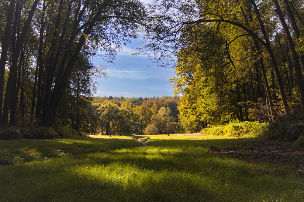 Photograph by Лариса Осьмак