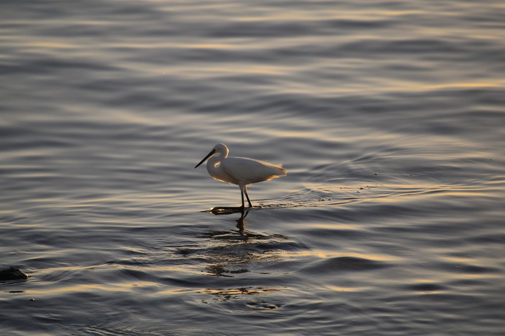 Фотография автора Nieves Gloria Alvarez Diaz