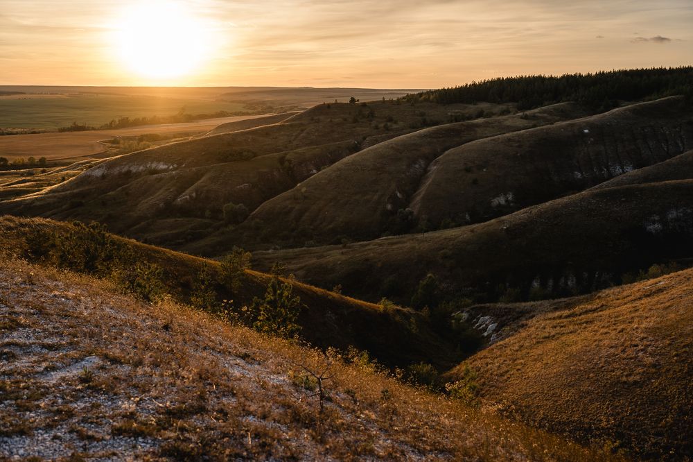 Photograph by Ольга Белопухова