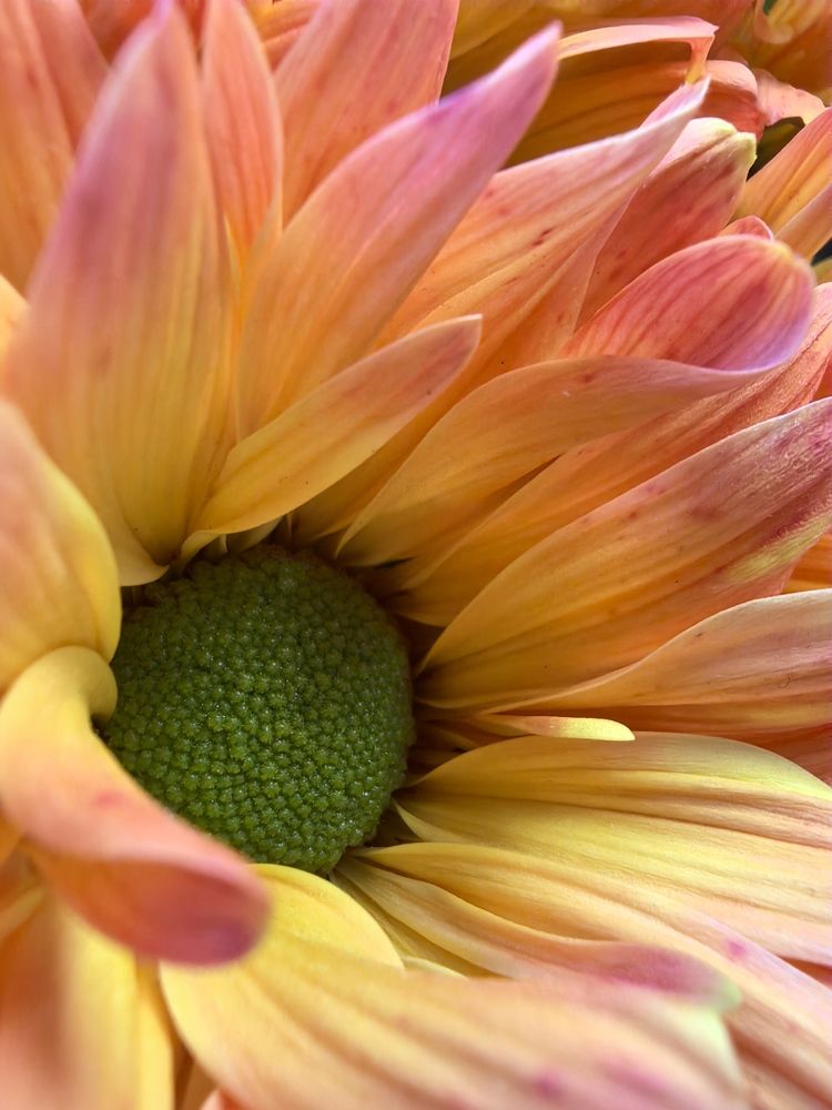 Photograph by Ксения Золотарь