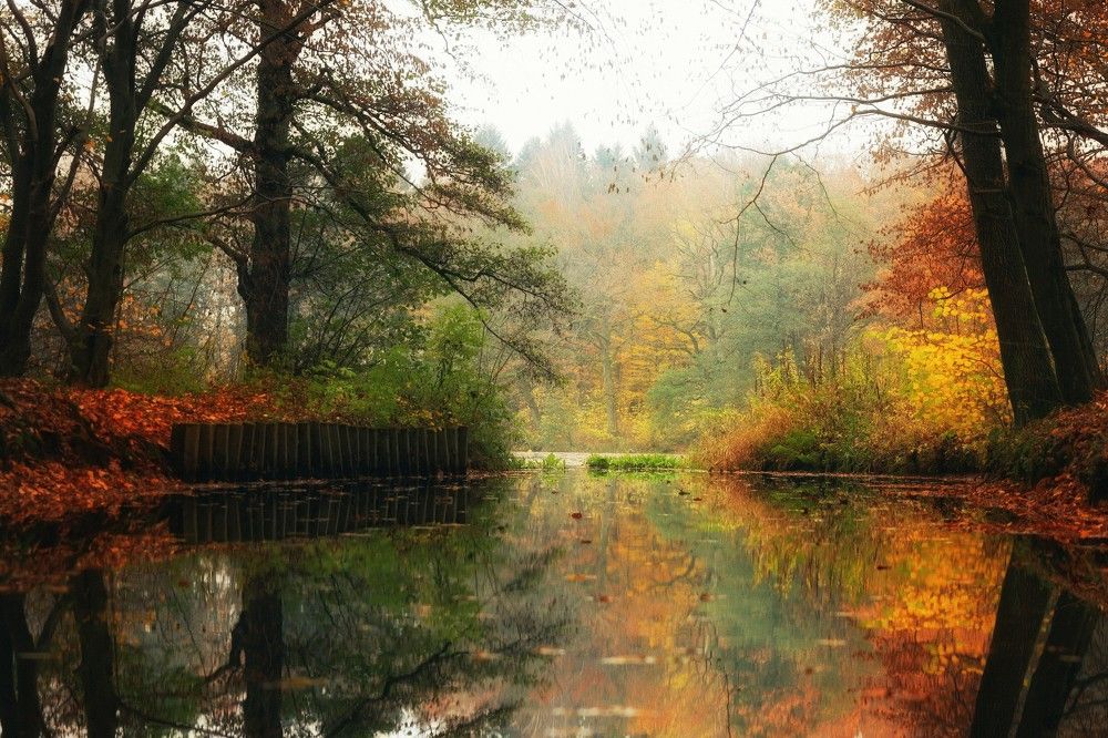 Photograph by Татьяна Максакова