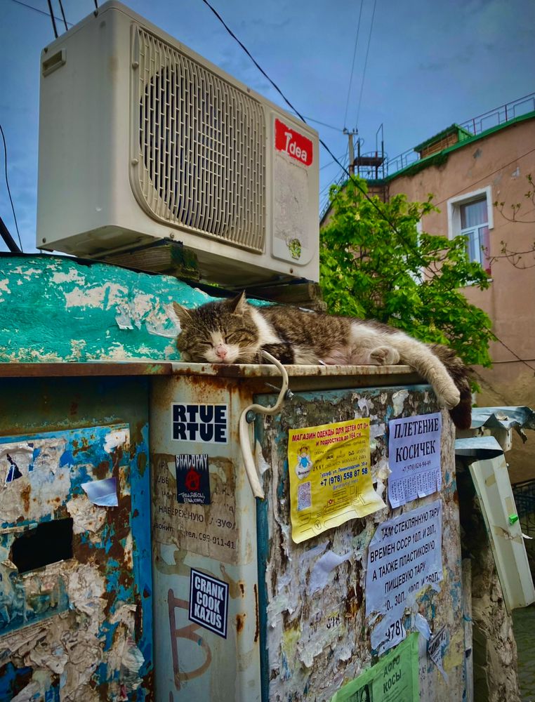 Photograph by Вадим Еременко