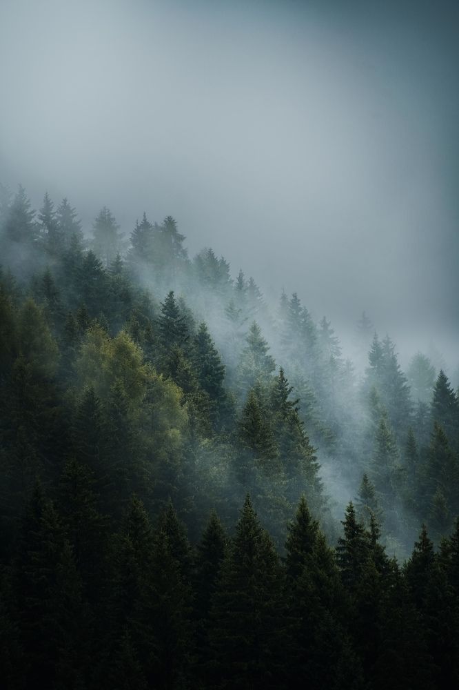 Photograph by Felix Kiss