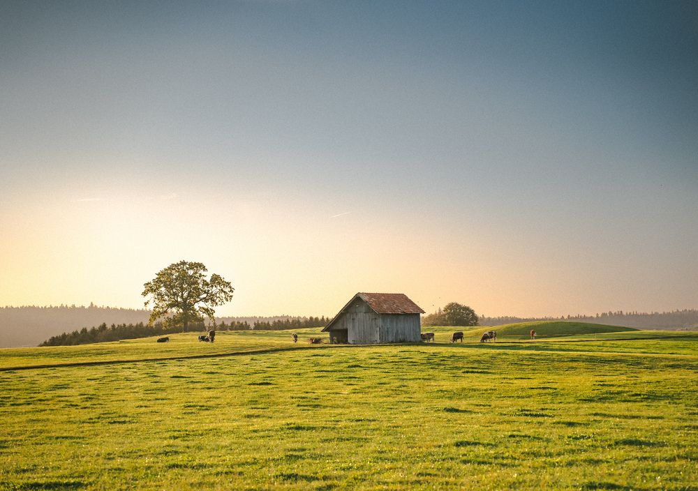 Photograph by Felix Kiss