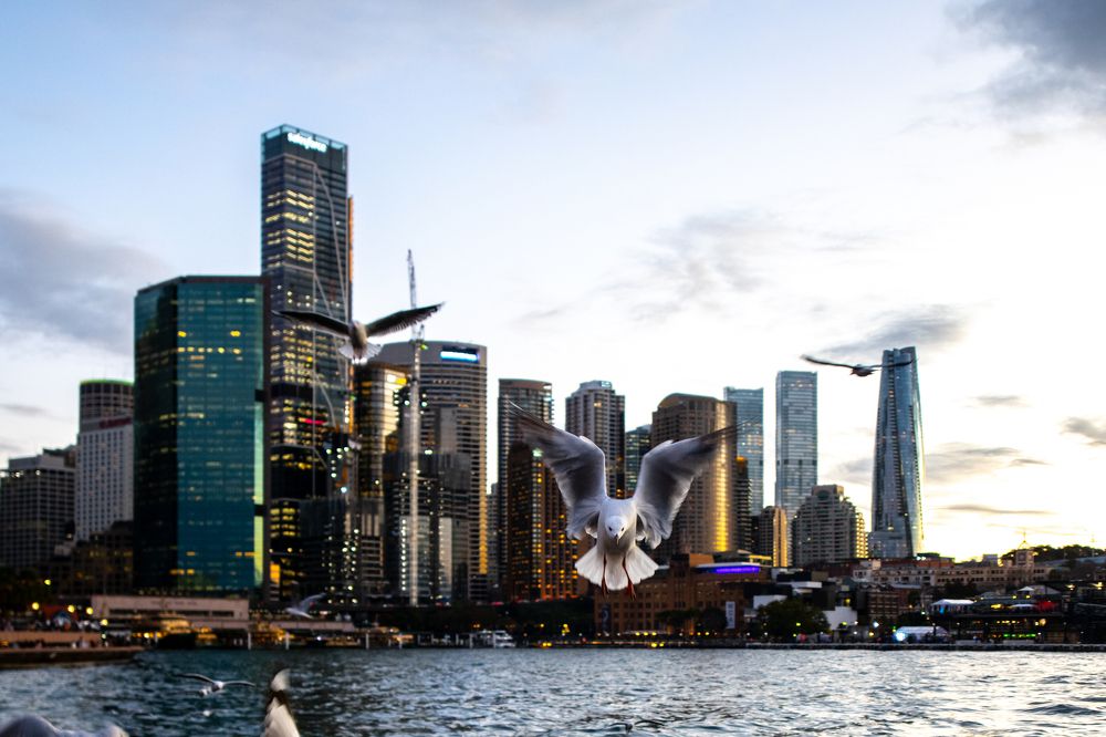 Photograph by Ismail Hassanaly