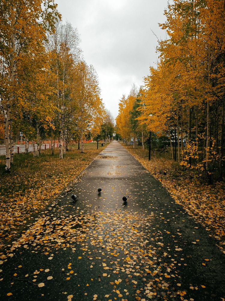 Photograph by Ольга Денисова