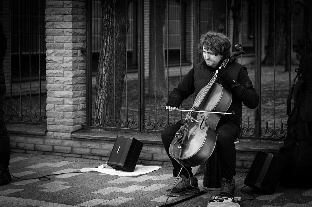 Фотография автора Владимир Барсуков