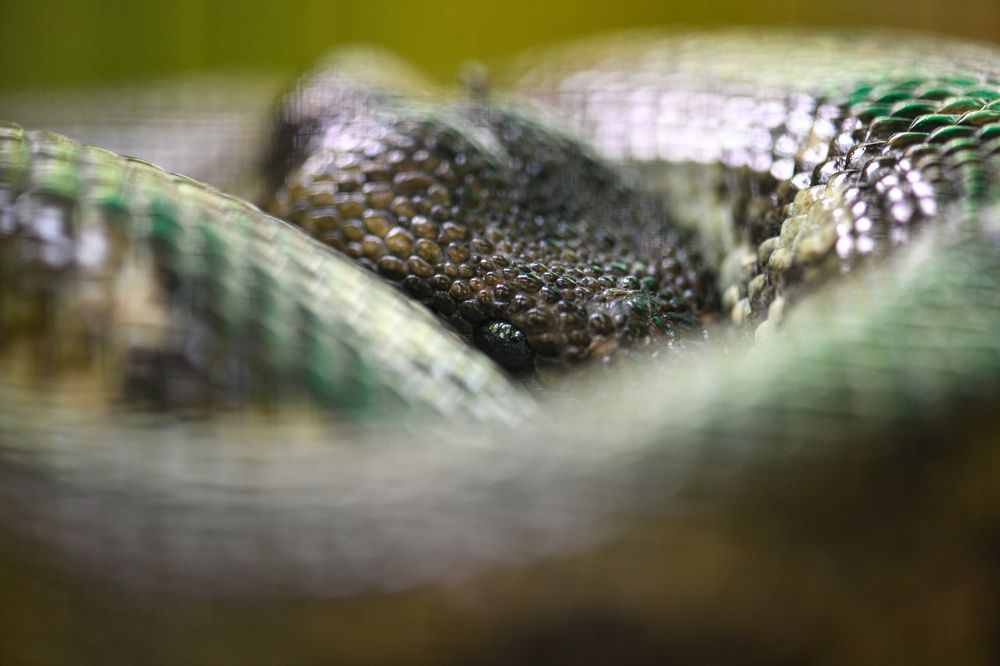 Photograph by Ismail Hassanaly