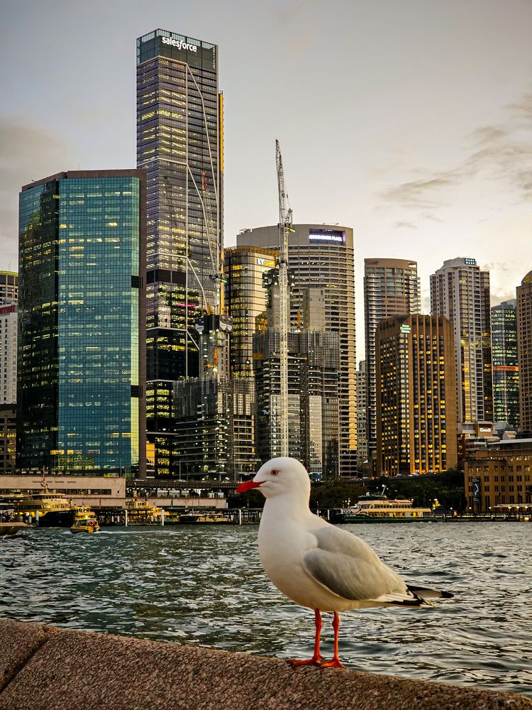 Photograph by Ismail Hassanaly