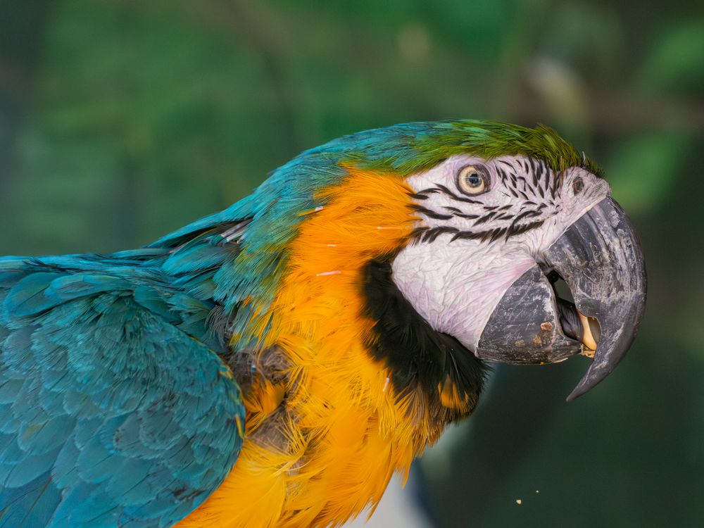 Photograph by Mohammed Abuelgasim