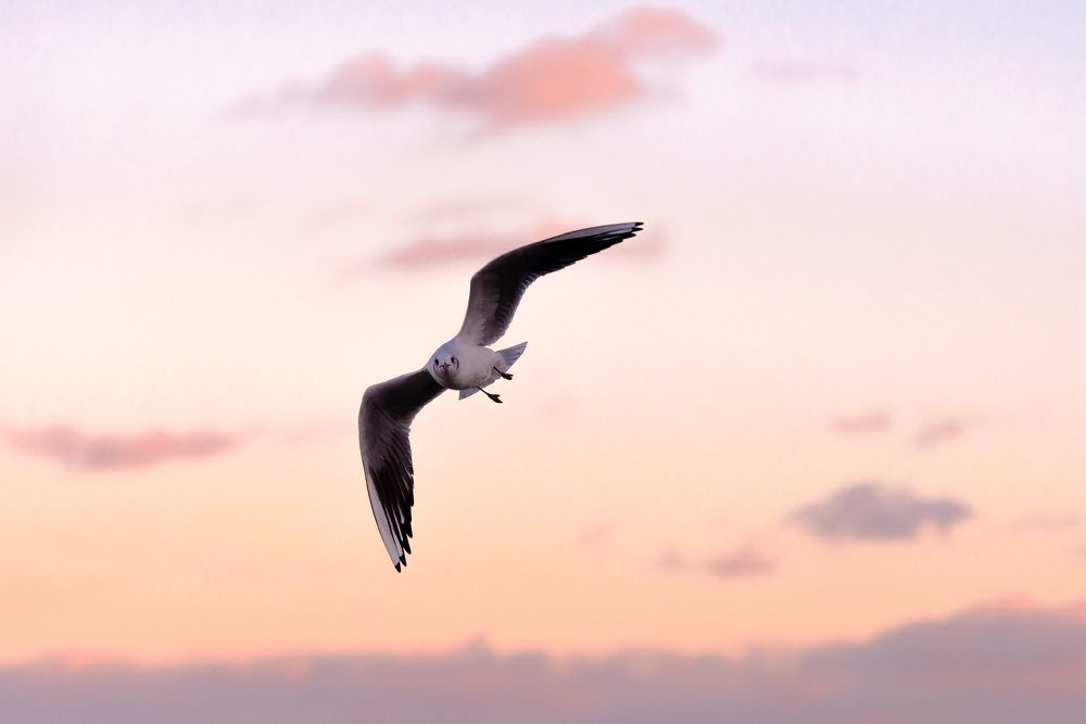 Фотография автора Ольга Тенилова