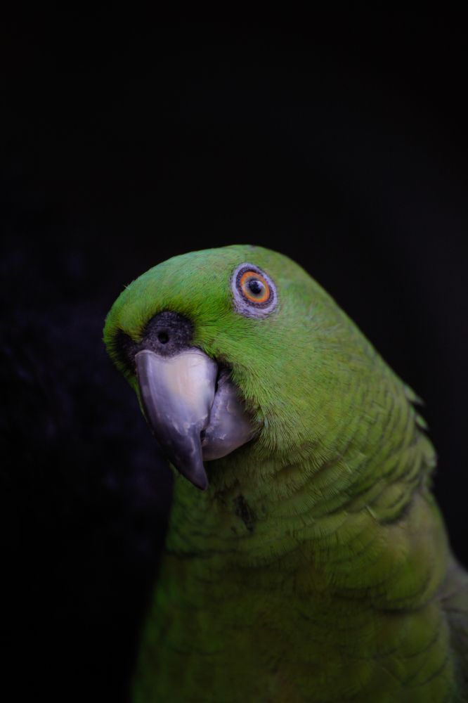 Photograph by Евфросиния Капустина