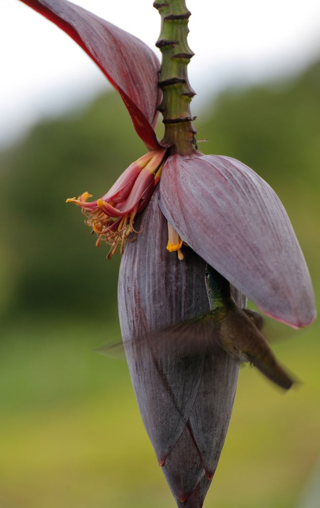 Photograph by Евфросиния Капустина